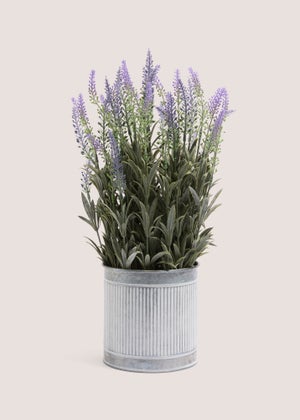 Lavender In Metal Pot