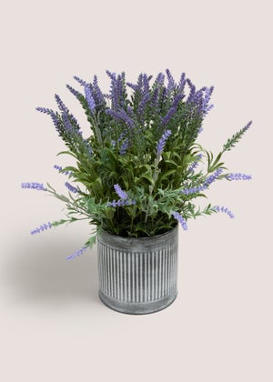 Lavender In Metal Pot